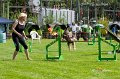 3T3I6182_3874 Kopie